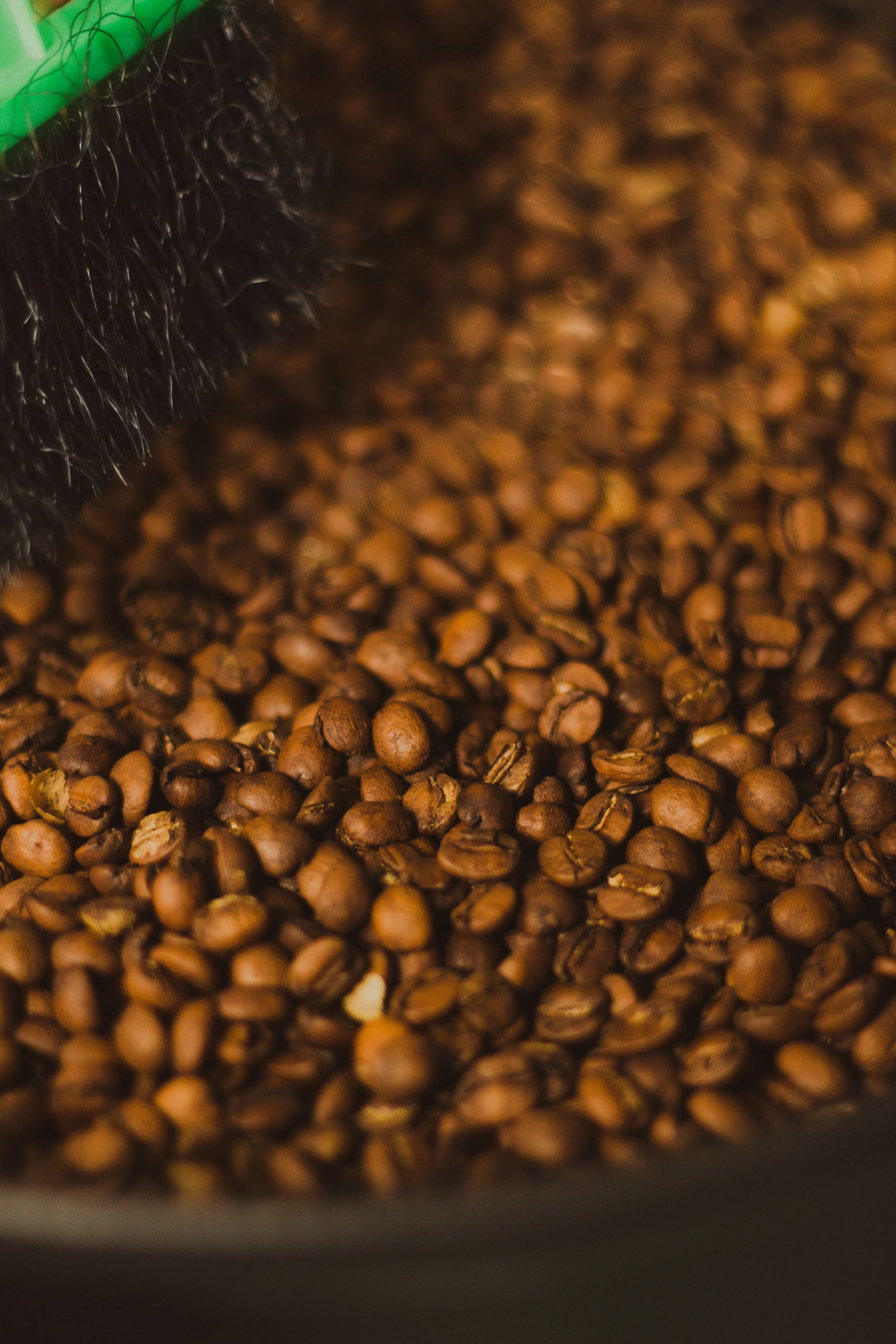 Barista szakértelem